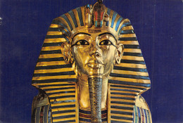 EGYPTE LE CAIRE MUSEE EGYPTIEN - Le Caire