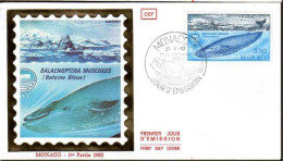 Monaco Fdc Yv:1372 Mi:1584 Balaenoptera Musculus (TB Cachet à Date) Fdc 27-4-83 - Baleines