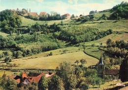 39 CHATEL CENSOIR VUE SUR DIGNA - Autres & Non Classés