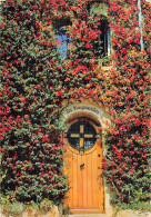 83 BORMES LES MIMOSAS BOUGAINVILLIERS EN FLEURS - Bormes-les-Mimosas