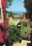 83 BORMES LES MIMOSAS LA COTE D AZUR - Bormes-les-Mimosas