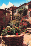 83 BORMES LES MIMOSAS VIEUX PUITS FLEURI - Bormes-les-Mimosas