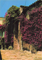 83 BORMES LES MIMOSAS UN DES PLUS BEAUX SITES FLEURIS - Bormes-les-Mimosas