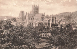ROYAUME UNI - Wells Cathedral From Cor Hill - Cathédrale De L Église De St André - Carte Postale Ancienne - Wells