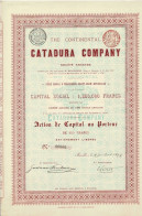 Titre De 1897 - The Continental Catadura Company - Déco - Other & Unclassified