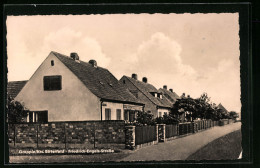 AK Greppin /Kr. Bitterfeld, Häuser In Der Friedrich-Engels-Strasse - Bitterfeld