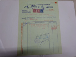 ANCONA   --- CARTA  - TIPOGRAFIA  - LITOGRAFIA - ACCESSORI ---  A. NACCI  & C..  STAB. TIPOGRAFICO - Italia