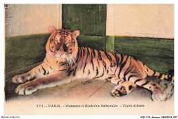 AQYP12-0734-ANIMAUX - PARIS - Museum D'histoire Naturelle - Tigre D'asie - Tigres