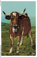 ASHP14-0887-ANIMAUX - LES HOTES DE NOS MONTAGNES - UNE REINE DES ALPAGES - VACHE - Vaches