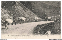 ASHP13-0812-ANIMAUX - SCENES ET TYPES PYRENEENS - VACHES ALLANT AU PATURAGE - Vaches