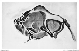 AOAP8-0605-ANIMAUX - Bison Polychrome - Tigres