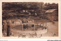 AJEP9-ALGERIE-0825 - CHREA - Rond-point De L'arrivée - Blida