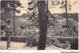 AJKP2-0132 - ANIMAUX - LE TRAVAIL DES LIONS SUR LEUR PLATEAU - Lions