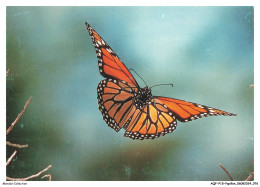 AQFP15-1052-PAPILLON - Monarch Butterfly - Papillons