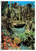 AQFP15-1053-PAPILLON - Le Jardin Exotique - Echinocactus Grusonii - Papillons