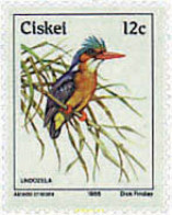 34041 MNH CISKEI 1985 PAJARO - Ciskei