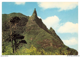 APCP5-0358-ILE-MAURICE - Pieter Both - Mauritius
