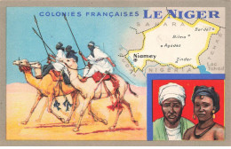 MIKIBP13-020- NIGER COLONIES FRANCAISES PLAN EDITION PRODUITS CHIMIQUES LION NOIR - Niger