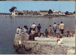 Île Tudy   G4    CPM 10X15         La Pointe De L'Île Vue De Loctudy - Ile Tudy