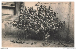 APCP4-0211-COMORE - GRANDE COMORE - Corbeille D'orchydées - Komoren