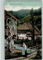 12039010 - Schwarzwald Haeuser Reetdachhaus Am Bach, - Hochschwarzwald