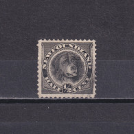 NEWFOUNDLAND 1894, SG# 59, CV £10, Newfoundland Dog, Used - 1865-1902