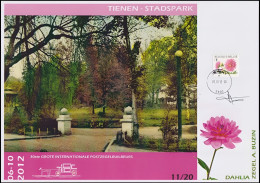 CM/MK° 3684 -A4- Fleurs/Bloemen/Blumen - Dahlia/Dahlie - TIPOC - Tienen - 06.10.12 - SIGNÉ/GETEKEND & N° - BUZIN - RRRRR - 1985-.. Uccelli (Buzin)