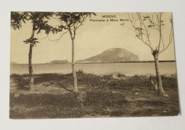 Dd450 Cartolina Miseno Panorama Provincia Di Napoli - Napoli