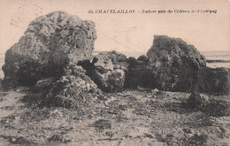 17 CHATELAILLON PLAGE ROCHERS PRES DU CHATEAU DE L AUBRAIE - Châtelaillon-Plage