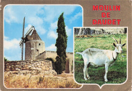 13 FONTVIEILLE LE MOULIN DE DAUDET - Fontvieille