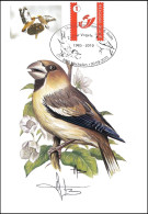 CM/MK DUOSTAMP/MYSTAMP° - Grosbec Casse-noyaux / Appelvink / Kembeisser - BUZIN - SIGNÉ/GETEKEND - RRRR - 1985-.. Uccelli (Buzin)
