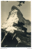 Suisse - Matterhorn - Mont Cervin - Riffelalp Ob Zermatt - Zermatt