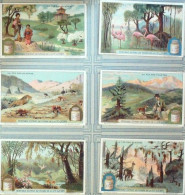 Chromo Liebig S1171 La Vie Des Plantes - Liebig