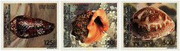 53195 MNH COMORES 1992 FAUNA MARINA. CONCHAS - Comoros