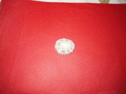 Coquillages De Collection - Conchas Y Caracoles