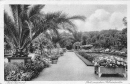 L046 Germany Bad Pyrmont Partinaus Dom Palmengarten Vintage Postcard - Welt