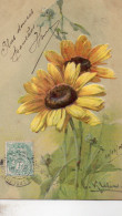 FLEURS DATEE DE 1906 - Blumen
