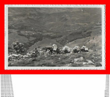 CPSM/gf ALTO DE LARUN (Espagne) Vera De Bidasoa, Contrebandier Passant La Frontière Franco-Espagnol...S1997 - Navarra (Pamplona)