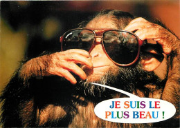 Animaux - Singes - Chimpanzé - Carte à Message - Carte Neuve - CPM - Voir Scans Recto-Verso - Apen