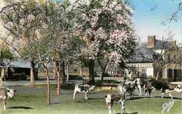 Animaux - Vaches - Normandie - Pommiers En Fleurs Et Poiriers Blancs - Veau - CPM - Voir Scans Recto-Verso - Vaches