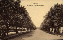 CPA Focșani Facsani Fokschan Rumänien, Boulevard Lascar Catargiu - Romania
