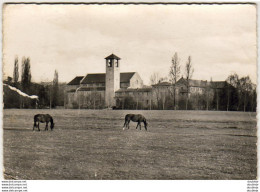 D65  ABBAYE NOTRE- DAME DE TOURNAY  Vue Générale   ..... - Tournay
