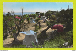 13 LA CIOTAT Un Coin Du Camping Des Oliviers Tentes Voitures Citroën Traction Renault 4CV VOIR DOS Et Flamme En 1959 - La Ciotat