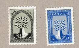 Iran Persia 1960  Yvert  N°956 Et 957 - Année Mondiale Des Réfugiés  -  Sans Charnière - MNH - Irán