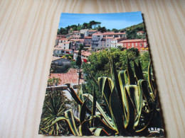 CPSM* Bormes-les-Mimosas (83).Un Coin Du Village. - Bormes-les-Mimosas