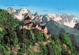 LIECHTENSTEIN VADUZ CHATEAU DE VADUZ - Liechtenstein