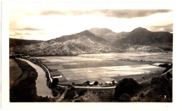 Etats-Unis - HI Hawaii - Maui :   PHOTO ORIGINALE   : Vallée Hanalei - 1952 - Maui