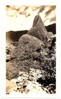 Etats-Unis - HI Hawaii - Maui :   PHOTO ORIGINALE   :  Vallée - Iao  - 1952 - Maui
