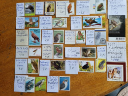 Birds Of Prey MNH =  OF WICH MAX 10X HAVE BEEN MADE - Eagles & Birds Of Prey