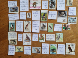 Birds Of Prey  =  OF WICH MAX  10X HAVE BEEN MADE - Eagles & Birds Of Prey
